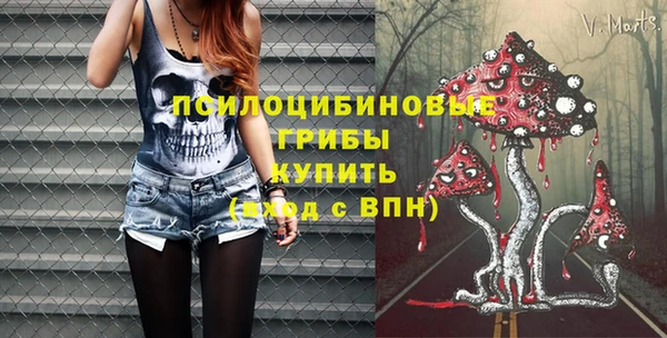 амф Краснотурьинск