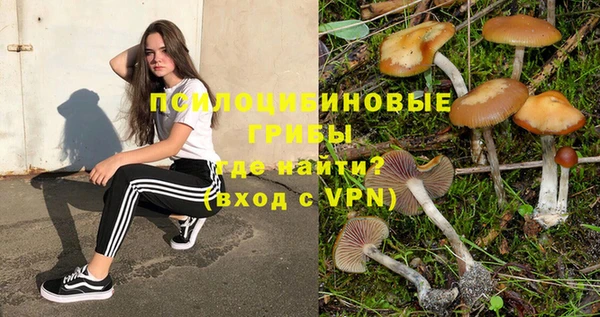 амф Краснотурьинск