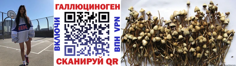 Псилоцибиновые грибы MAGIC MUSHROOMS  Купить где  Братск 